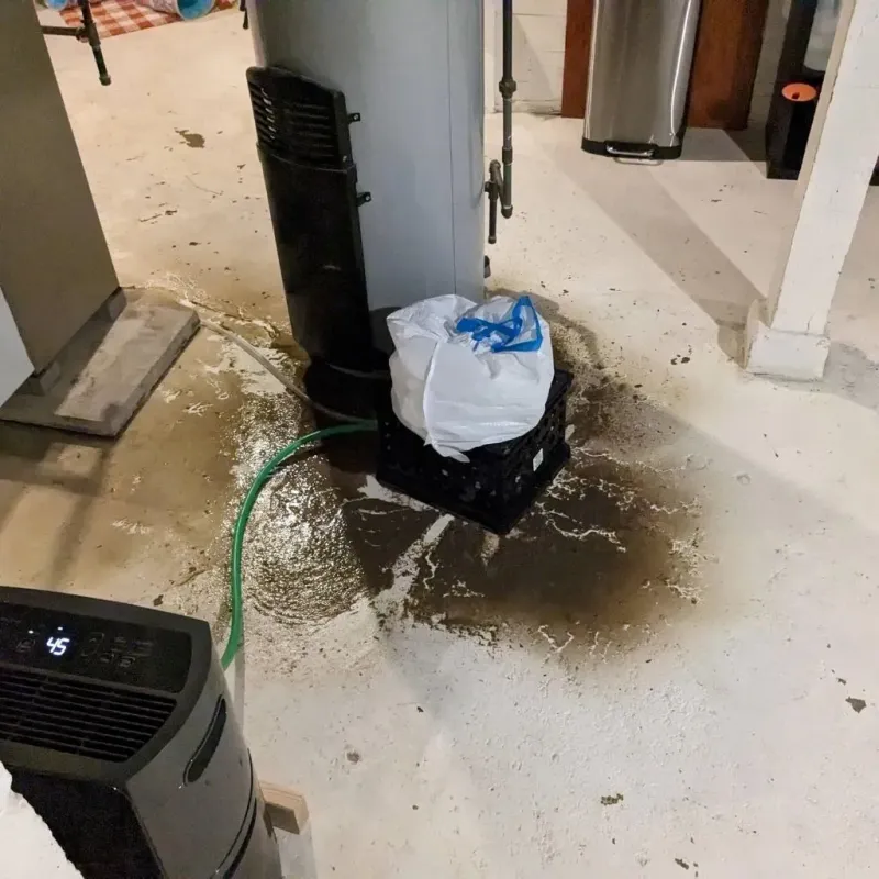 Sewage Backup Cleanup Service in Etowah County, AL